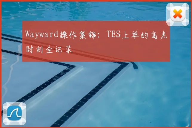 Wayward操作集锦：TES上单的高光时刻全记录