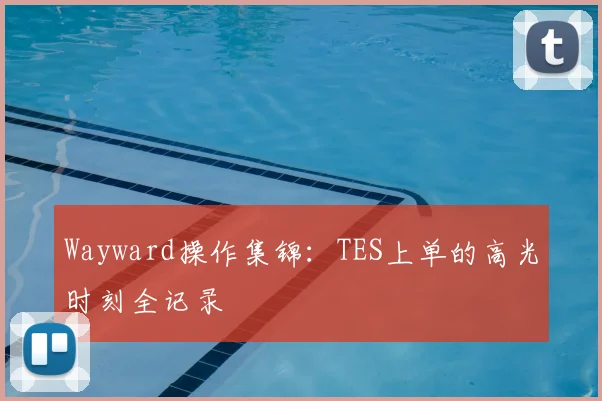 Wayward操作集锦：TES上单的高光时刻全记录